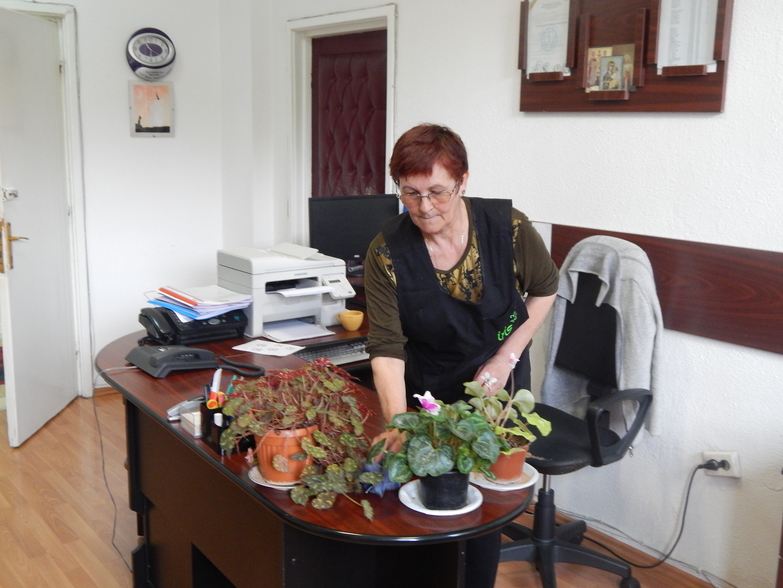 Servicii de curatenie profesionale - Iris curatenie Bacau - curatenie in birouri si spatii comerciale